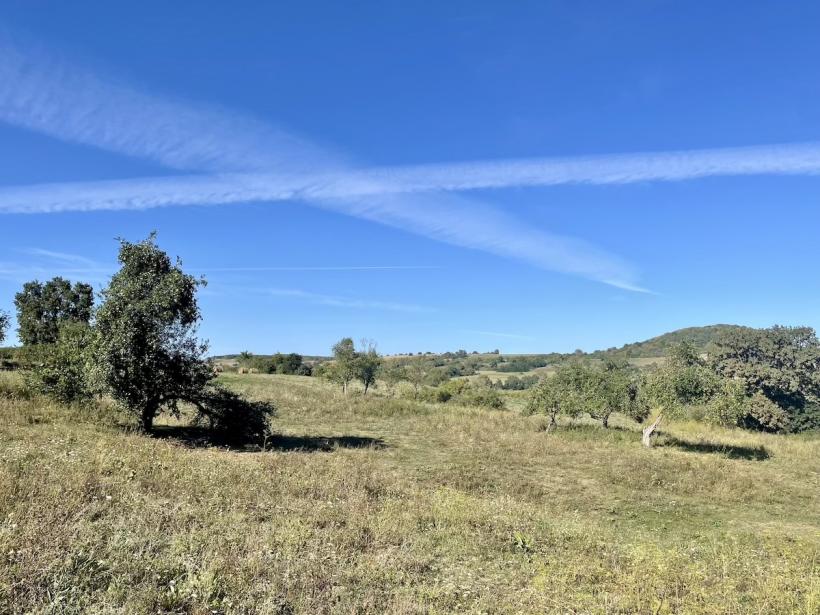 „În căutarea Paradisului pierdut”, un proiect despre migrația înspre mediul rural, caută poveștile celor care au făcut acest pas. Apel pentru povești și fotografii până pe 15 octombrie 18920299
