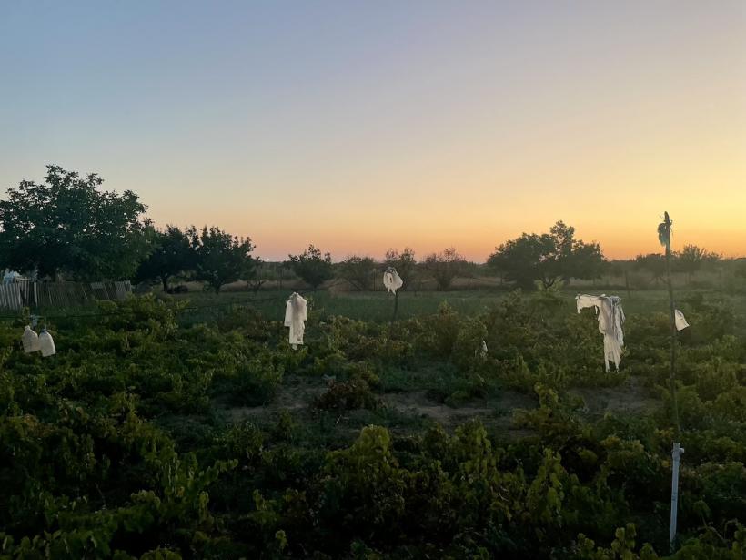 „În căutarea Paradisului pierdut”, un proiect despre migrația înspre mediul rural, caută poveștile celor care au făcut acest pas. Apel pentru povești și fotografii până pe 15 octombrie 18920306
