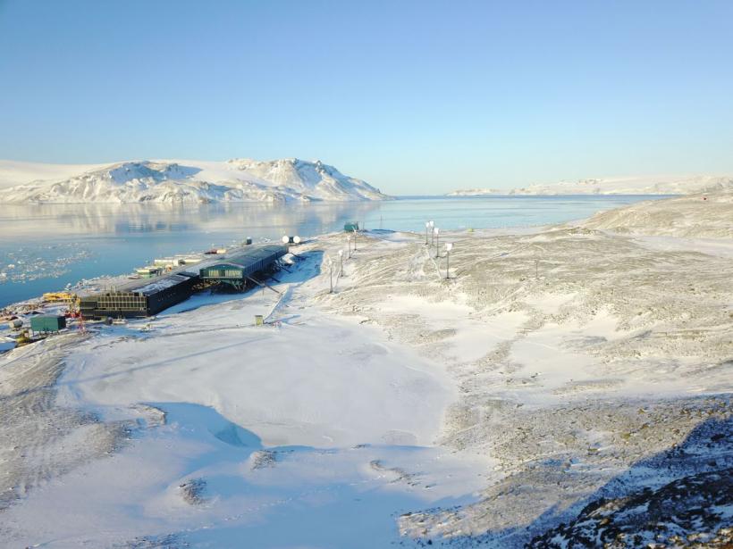 Fenomen îngrijorător în Antartica. Vegetația se extinde pe continentul înghețat