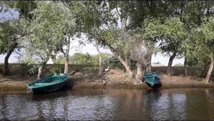 România și Bulgaria își fac alianță turistică: Rute comune pentru străinii care vor să viziteze cele două țări „la pachet” 18921782