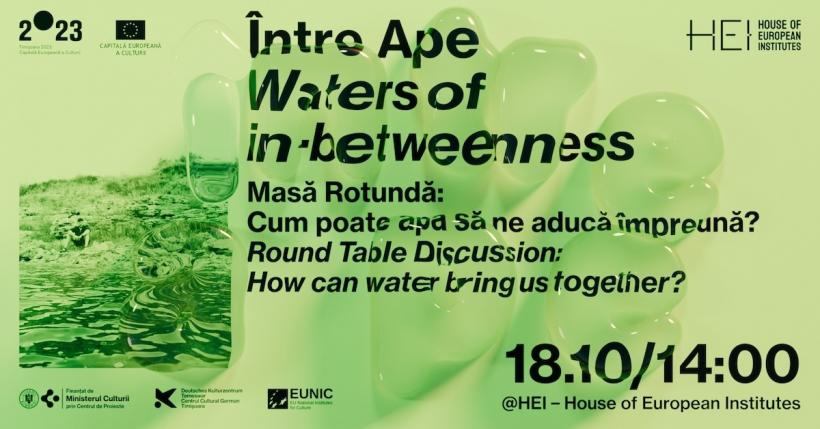 Expoziția „Între Ape (Waters of in-betweenness)” debutează la House of European Institutes Timișoara cu o serie impresionantă de evenimente culturale 18922610