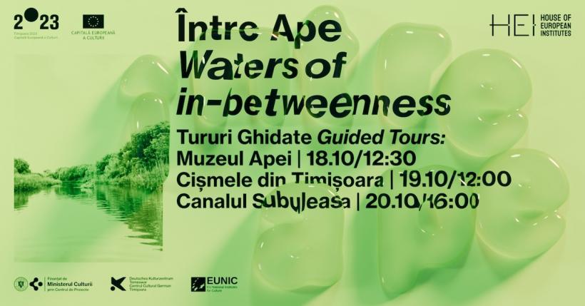 Expoziția „Între Ape (Waters of in-betweenness)” debutează la House of European Institutes Timișoara cu o serie impresionantă de evenimente culturale 18922611