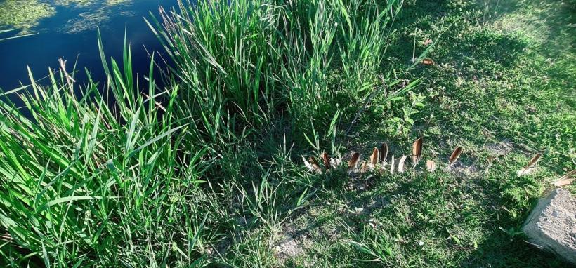 Expoziția „Între Ape (Waters of in-betweenness)” debutează la House of European Institutes Timișoara cu o serie impresionantă de evenimente culturale 18922612