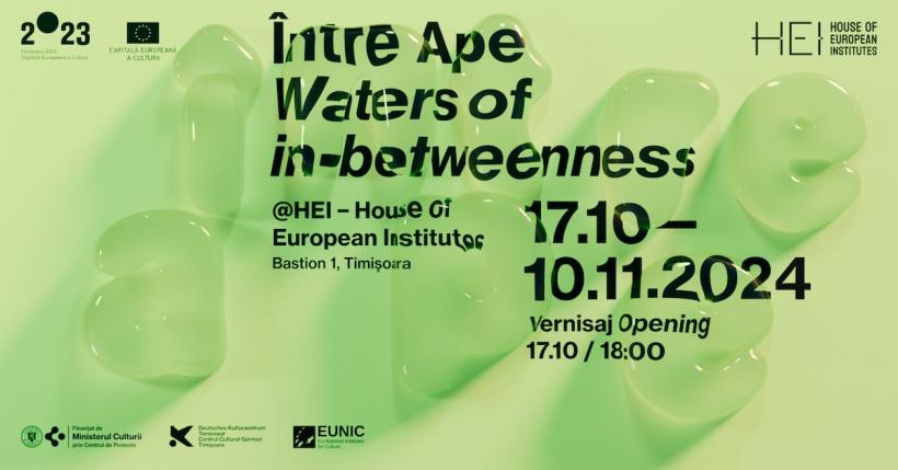 Expoziția „Între Ape (Waters of in-betweenness)” debutează la House of European Institutes Timișoara cu o serie impresionantă de evenimente culturale