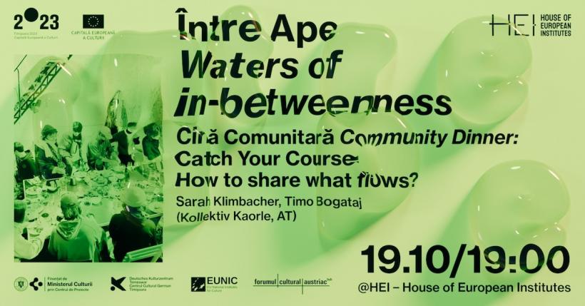 Expoziția „Între Ape (Waters of in-betweenness)” debutează la House of European Institutes Timișoara cu o serie impresionantă de evenimente culturale 18922615