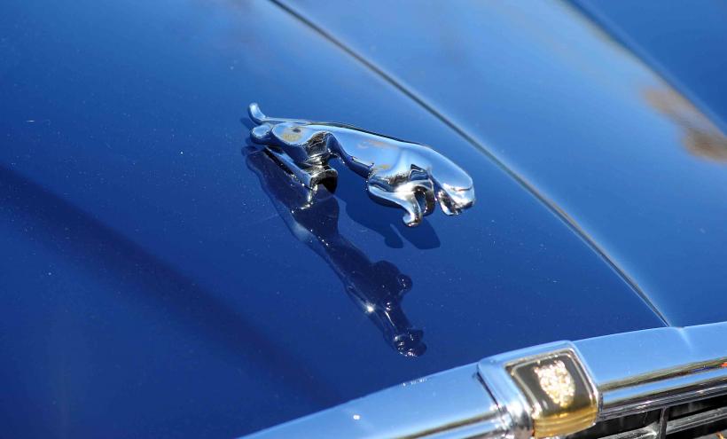 „Retro Parada Toamnei 2024.” Cea mai mare expoziție de mașini istorice, în Parcul Lumea Copiilor 18923375