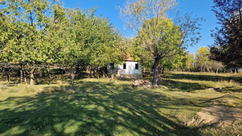 Prezidențialele la Merdeala, așezarea cu un singur locuitor: „politica e ca satul ăsta al meu – fără suflare” 18923322