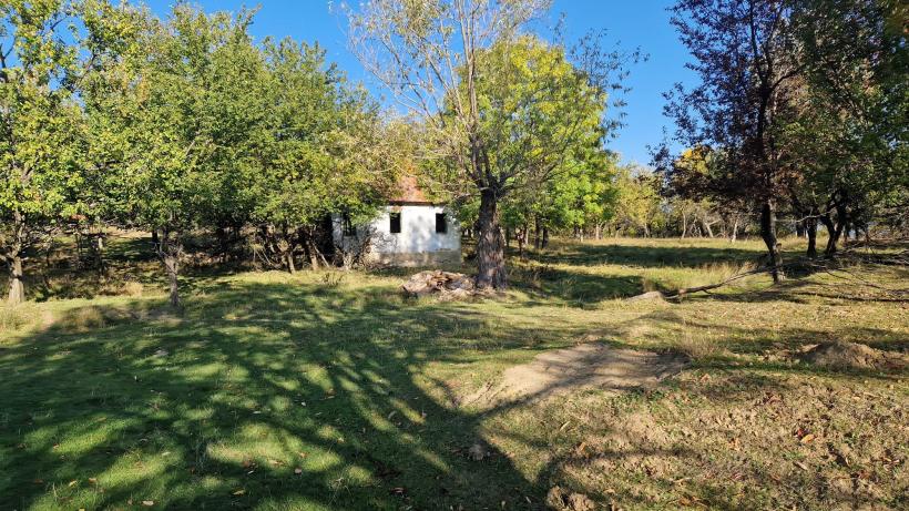 Prezidențialele la Merdeala, așezarea cu un singur locuitor: „politica e ca satul ăsta al meu – fără suflare” 18923323