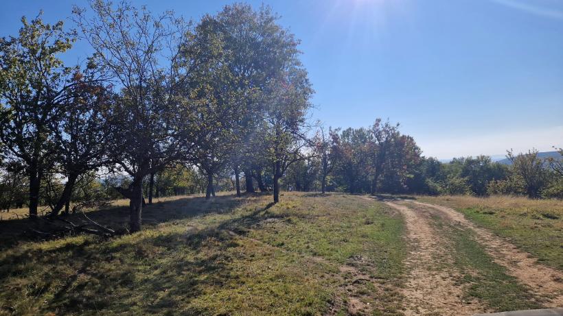 Prezidențialele la Merdeala, așezarea cu un singur locuitor: „politica e ca satul ăsta al meu – fără suflare” 18923325