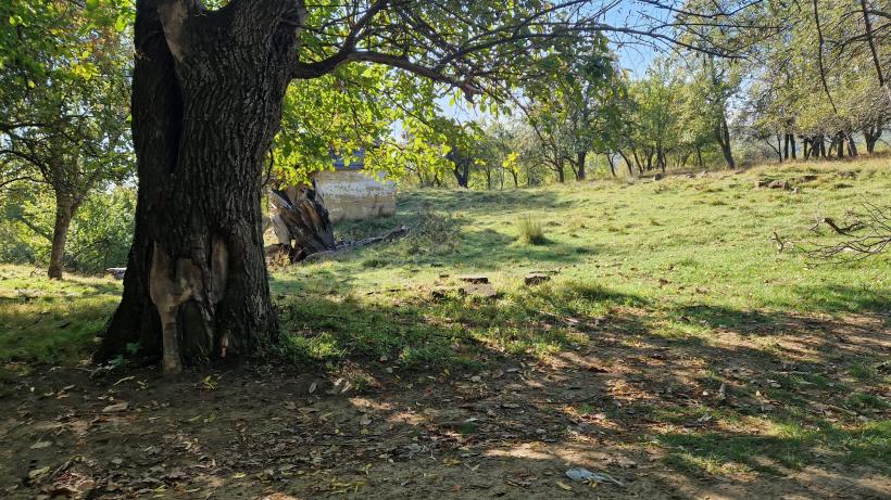 Prezidențialele la Merdeala, așezarea cu un singur locuitor: „politica e ca satul ăsta al meu – fără suflare” 18923328