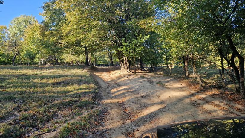 Prezidențialele la Merdeala, așezarea cu un singur locuitor: „politica e ca satul ăsta al meu – fără suflare” 18923329