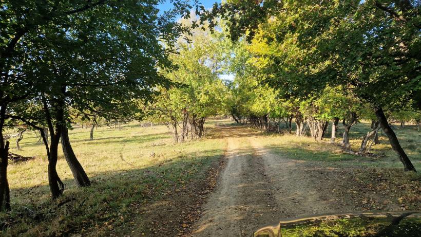 Prezidențialele la Merdeala, așezarea cu un singur locuitor: „politica e ca satul ăsta al meu – fără suflare” 18923330