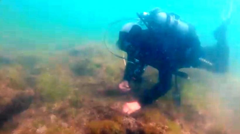 Greenpeace declară război statului român pentru gazele din Marea Neagră 18923716