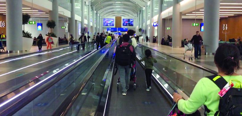 Din nou acasă 18924134