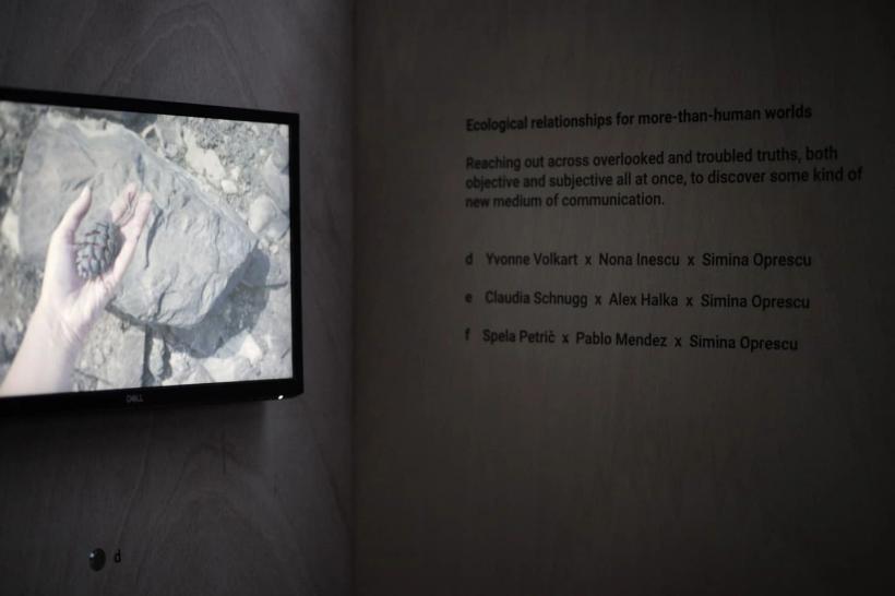 Perspective creative la probleme curente insuficient discutate, într-o serie de evenimente organizate de Marginal pe 2 și 3 noiembrie, la București 18923950