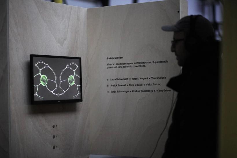 Perspective creative la probleme curente insuficient discutate, într-o serie de evenimente organizate de Marginal pe 2 și 3 noiembrie, la București 18923954