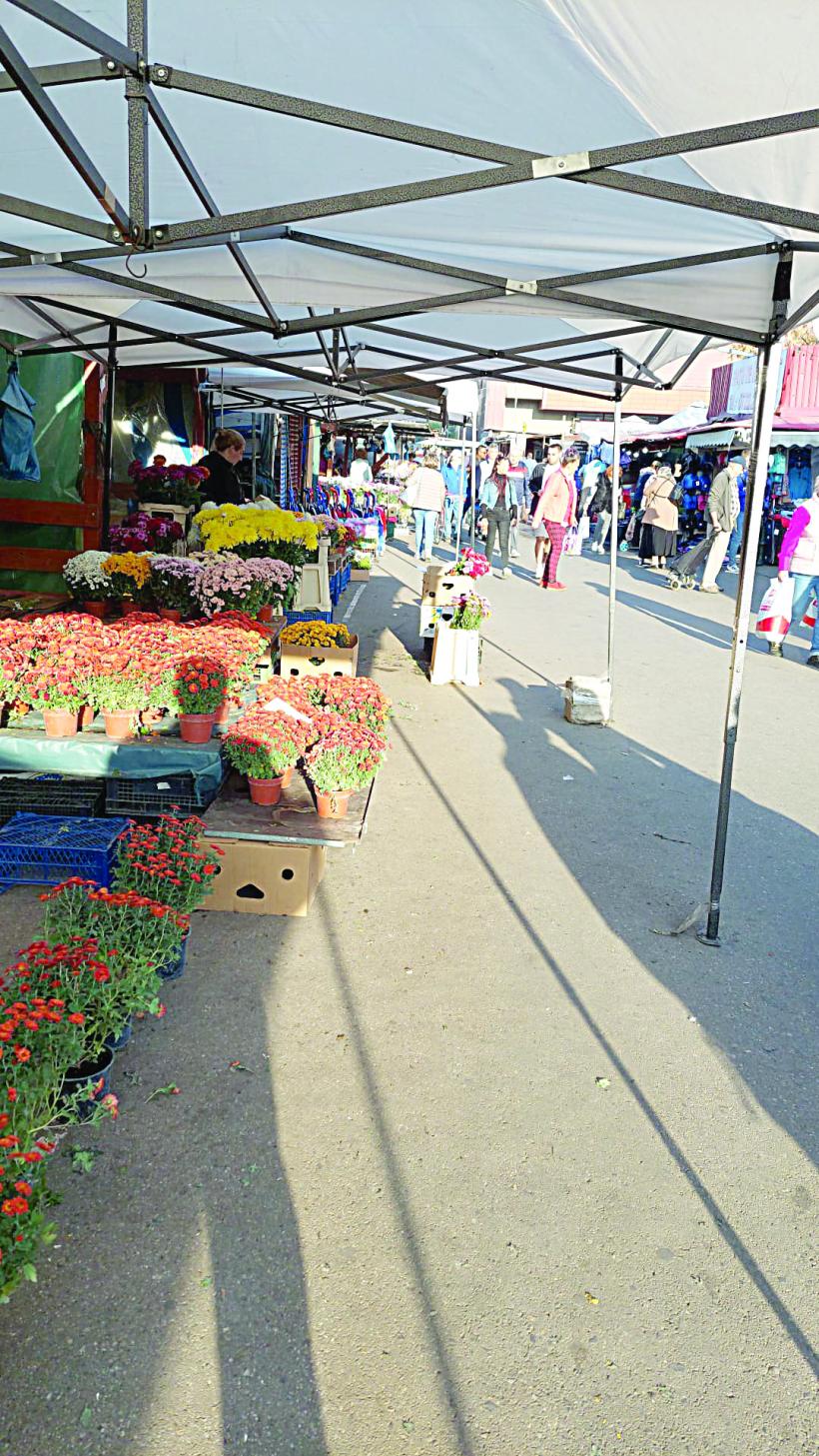 Din nou acasă, din nou liniștit 18925251