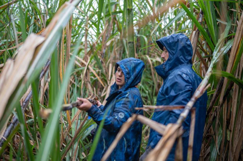 Asia Express, lider de audiență. Diseară, cursa pentru biletele de aur ajunge la final. Echipele luptă pentru ultimele carduri cu Zeități 18925965