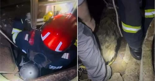 Un câine căzut într-o fântână dezafectată a fost salvat de pompierii giurgiuveni