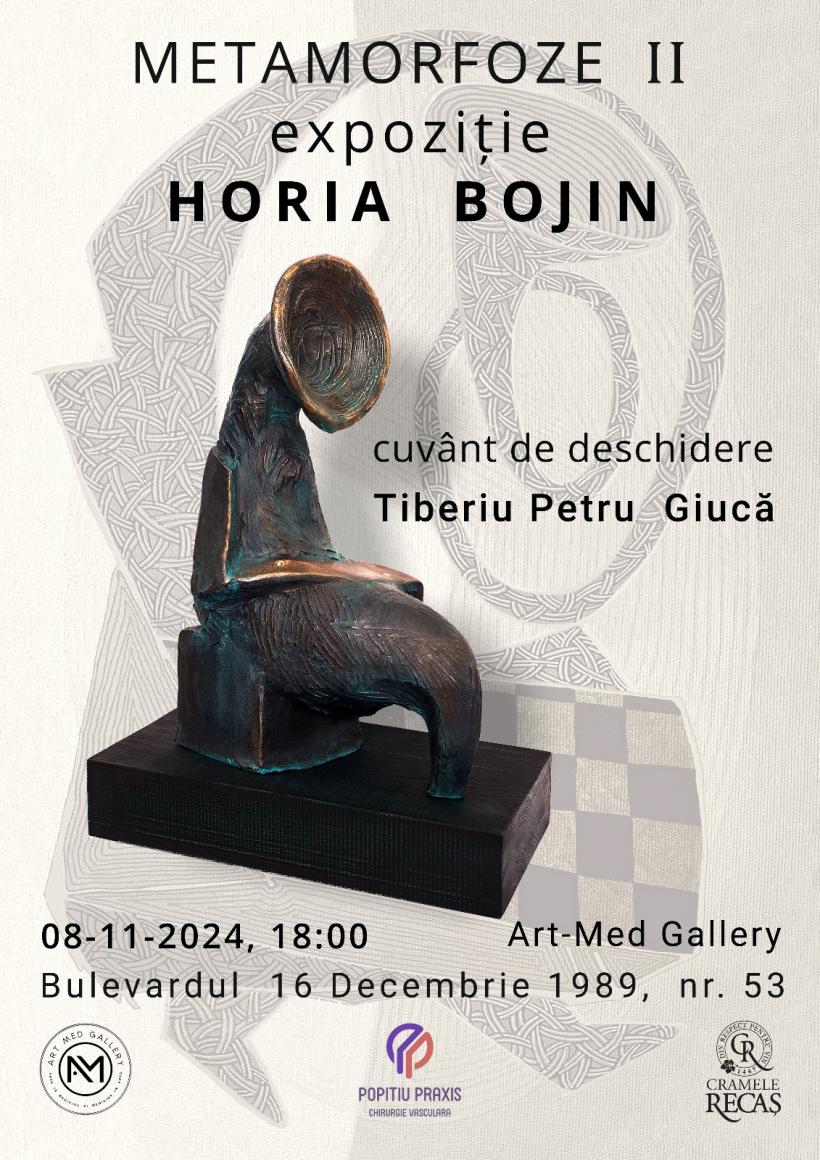 Expoziție Horia Bojin & invitație vernisaj 18926089