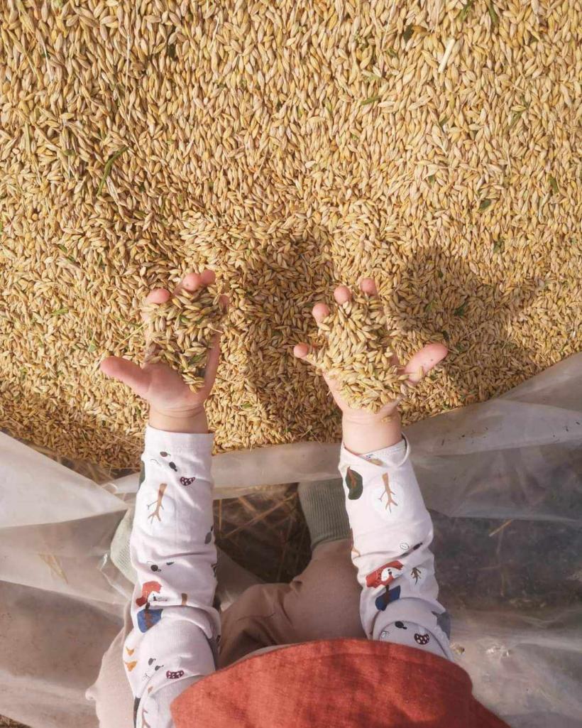 „În căutarea paradisului pierdut”, de la oraș la sat - proiecții de film și vernisaj în noiembrie, la București 18926241