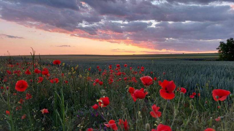 „În căutarea paradisului pierdut”, de la oraș la sat - proiecții de film și vernisaj în noiembrie, la București 18926242
