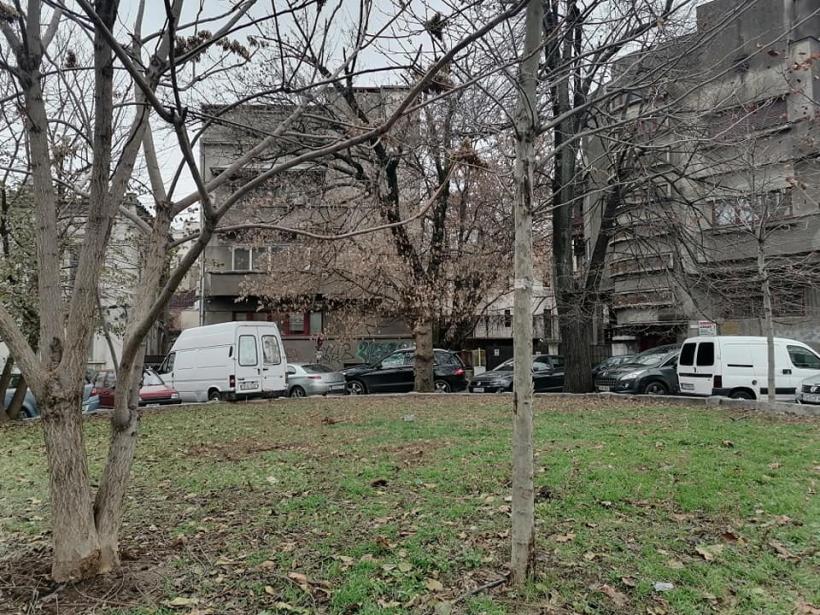 Ce semnificații poartă legendarele supranume Chiajna și Laiotă 18926157