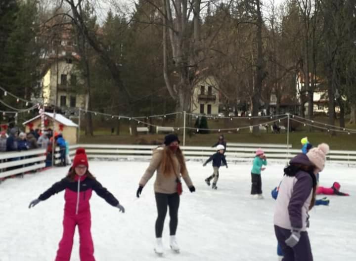 Vacanța de iarnă. Zile libere pentru elevi de Crăciun și Anul Nou