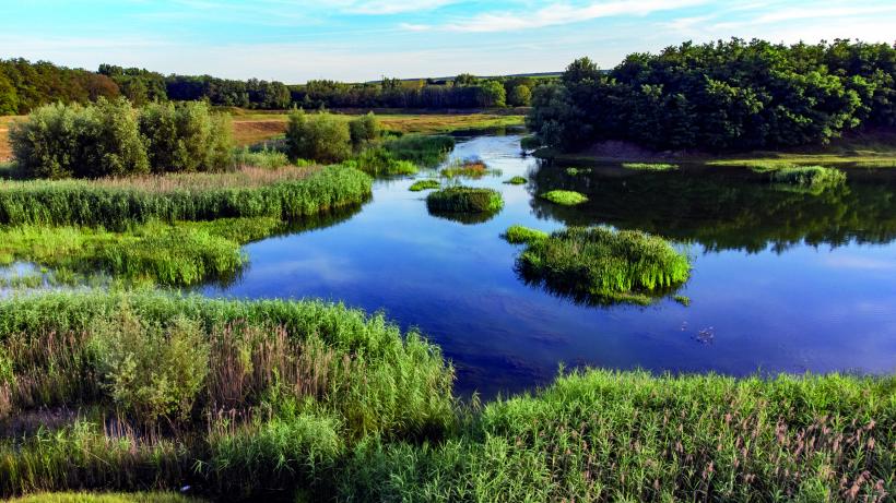 Botoșani, Ținutul Sfinților și al mănăstirilor seculare. Raiul spiritual și cultural din nordul României 18926448