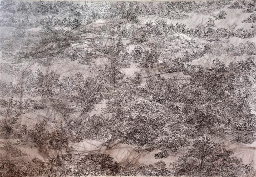 Scemtovici & Benowitz Gallery prezintă a doua ediție a expoziției anuale CONTEMPORARY DRAWING IN ROMANIA 18926662