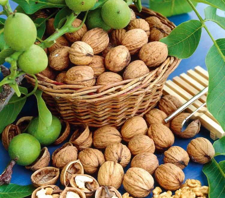 Nucile, comoara noastră cea de toate zilele 18927139