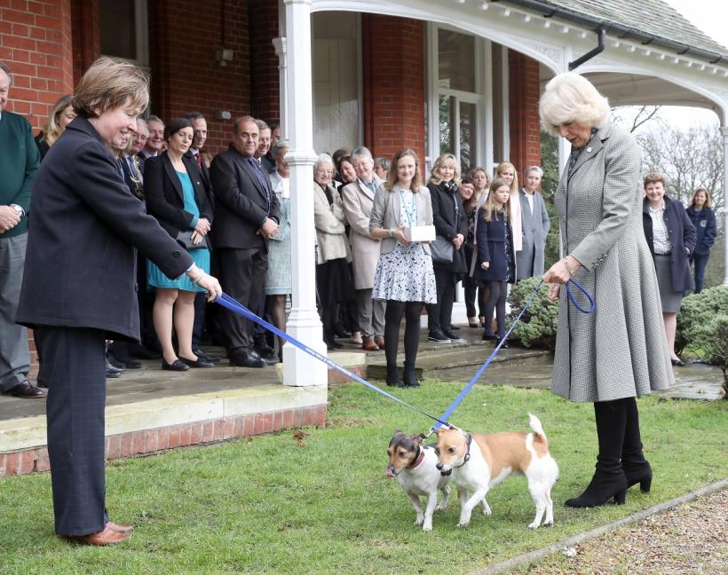 Doliu la Casa Regală britanică: A murit Beth, cățelușa preferată a Reginei Camilla 18928199