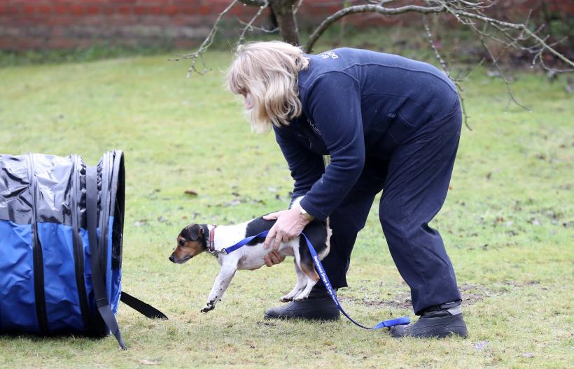 Doliu la Casa Regală britanică: A murit Beth, cățelușa preferată a Reginei Camilla 18928201