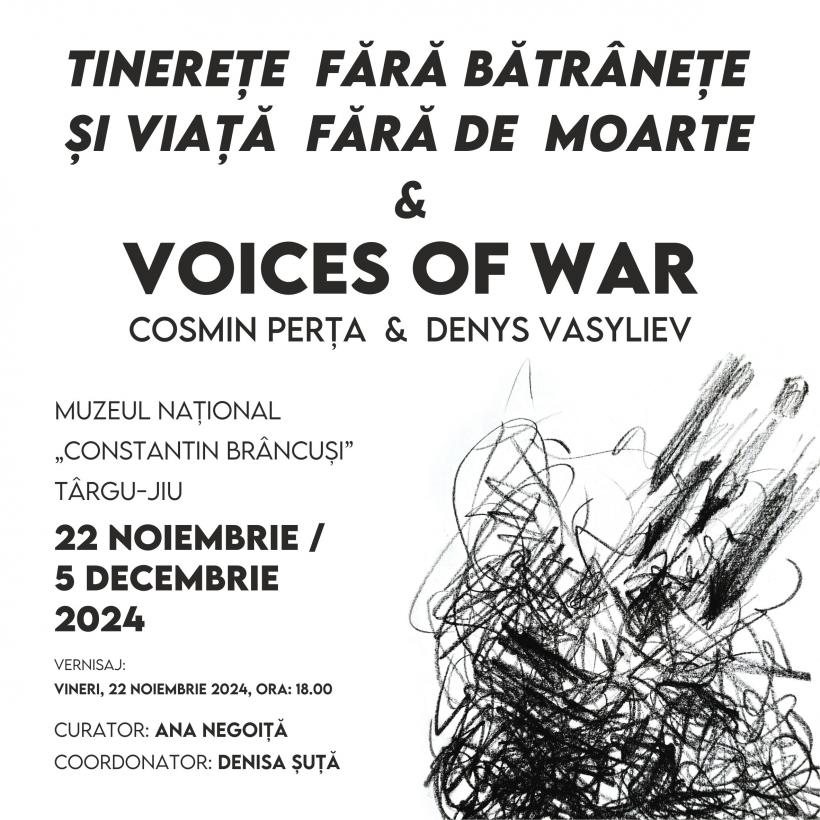 Scriitorul Cosmin Perța și poetul și artistul vizual Eugen Vuțescu, expoziții la Muzeul Național „Constantin Brâncuși” din Târgu Jiu 18928162