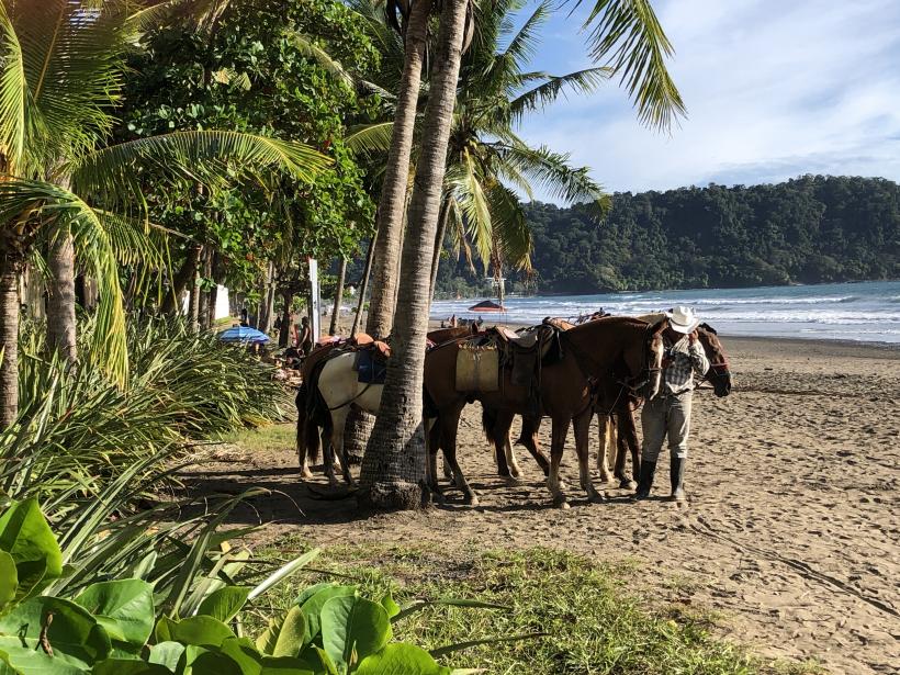 O vacanță printre vulcani, plaje și păduri tropicale 18928659