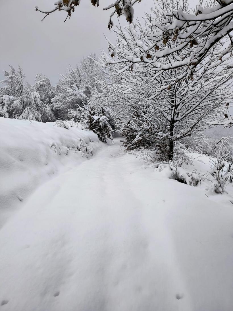 Salvare cu targa mobilă: Bătrân cu grave probleme medicale, surprins de ninsoare într-o zonă montană greu accesibilă 18928909