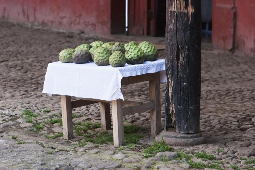 Ce trebuie să știi despre cel mai sănătos fruct din lume