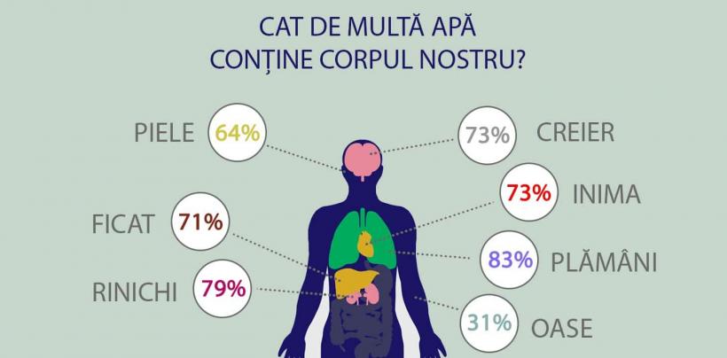 Circuitul apei în organism - ești ceea ce bei 18929060