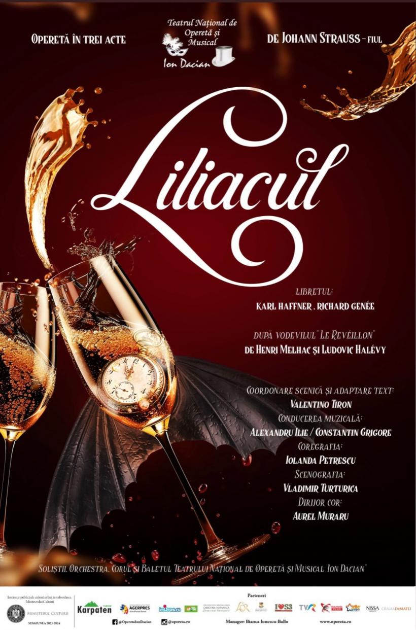 Program Teatrul Naţional de Operetă şi Musical Ion Dacian – luna DECEMBRIE 18929012