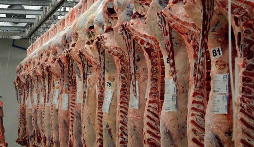 Fermierii români cer Guvernului să blocheze semnarea tratatului UE - Mercosur. Agricultura românească, lovită puternic de acord 18929415