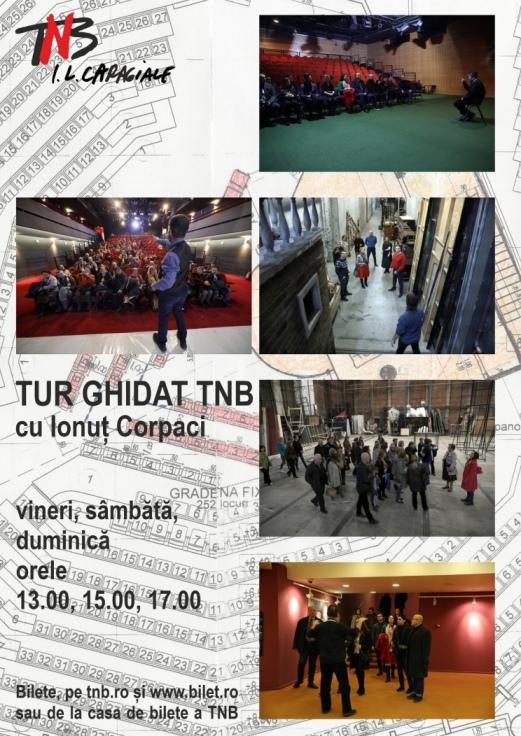 La TNB, de Ziua Naţională a României 18929276