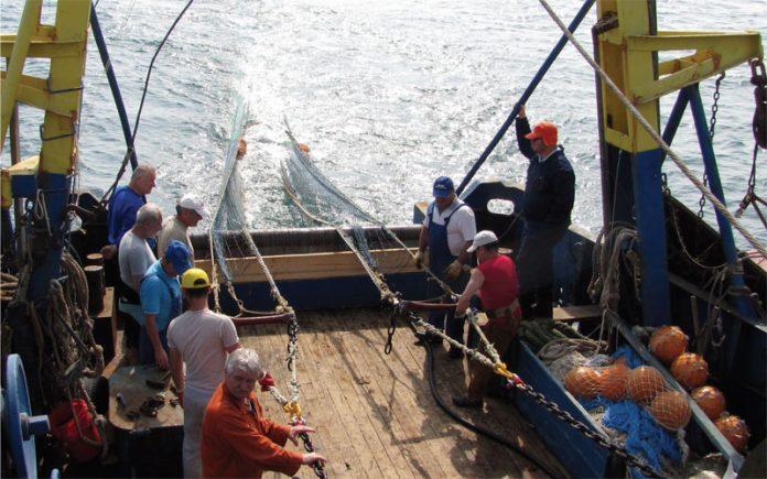 Papua Noua Guinee, Kenya și Uganda, pe lista țărilor care pun pește în farfuriile românilor, în timp ce la noi pescarii sunt ignorați 18929410