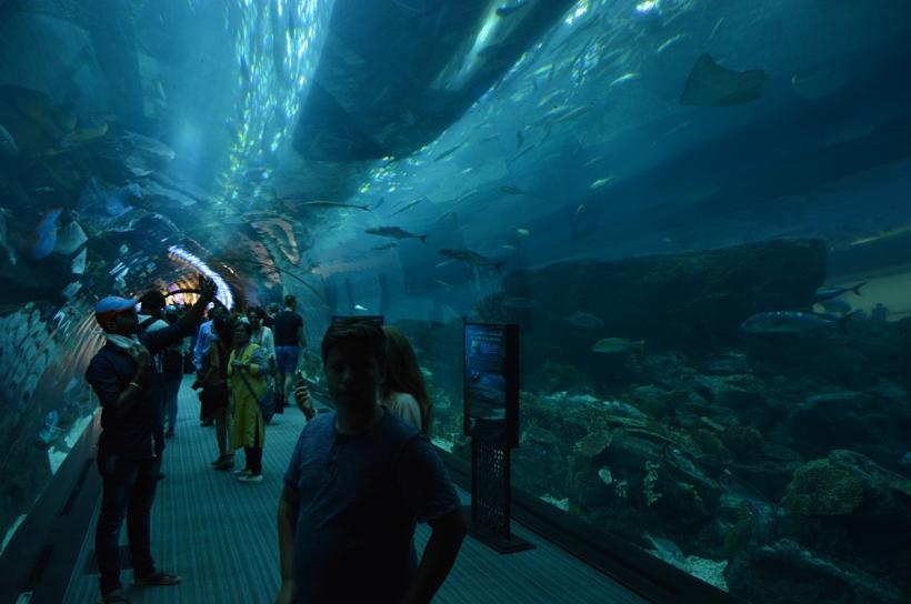 Premieră pe piața turismului din România: promoție-fulger pentru vacanțe în Dubai 18930763