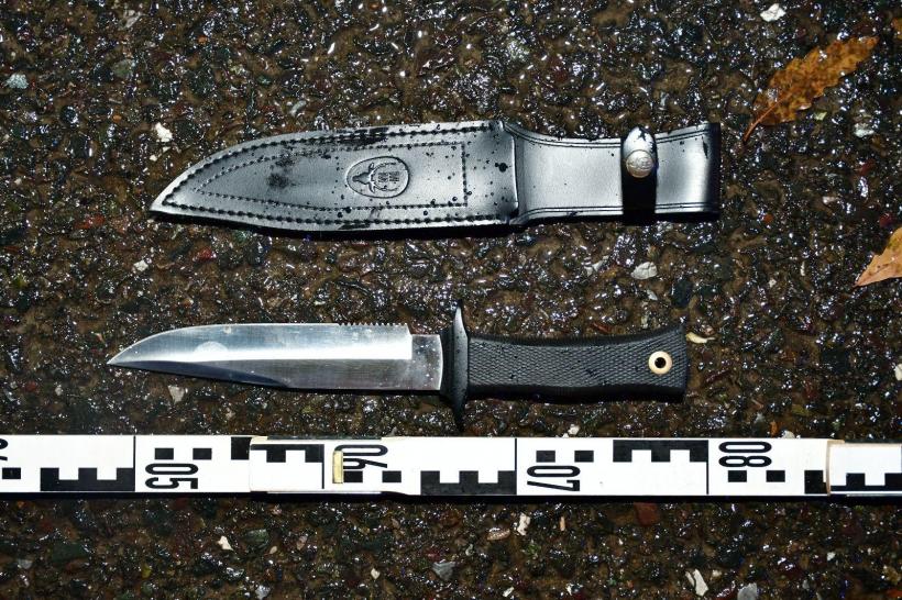 Operațiune paramilitară: Horaţiu Potra și alți mercenari, prinși în drum spre București cu pistoale, topoare, săbii și gaze lacrimogene 18931150