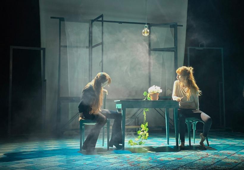 Premiera spectacolului „OFELIA.Afterlife” – o reinterpretare a personajului Ofelia din „Hamlet” 18931753