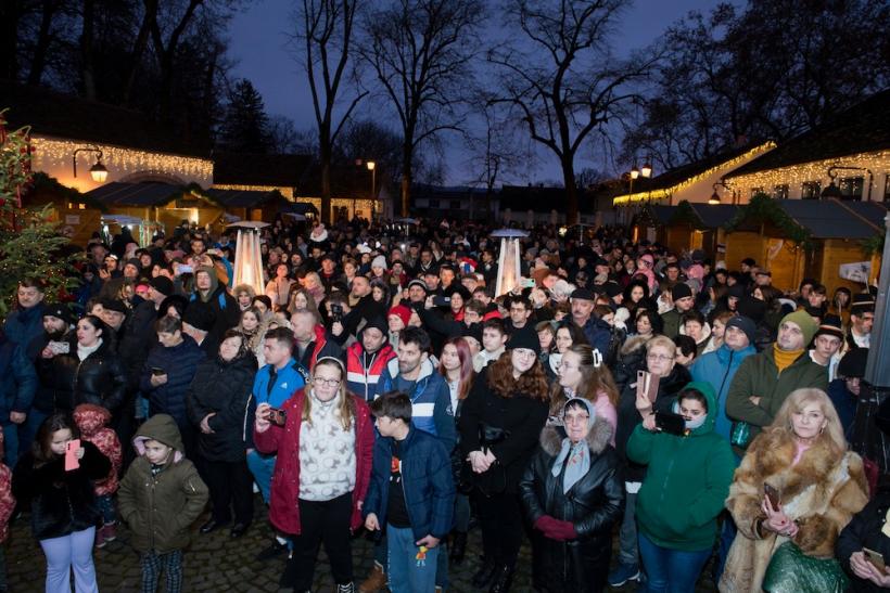 Familia Regală a României va petrece Crăciunul și Anul Nou la Castelul Săvârșin 18932105