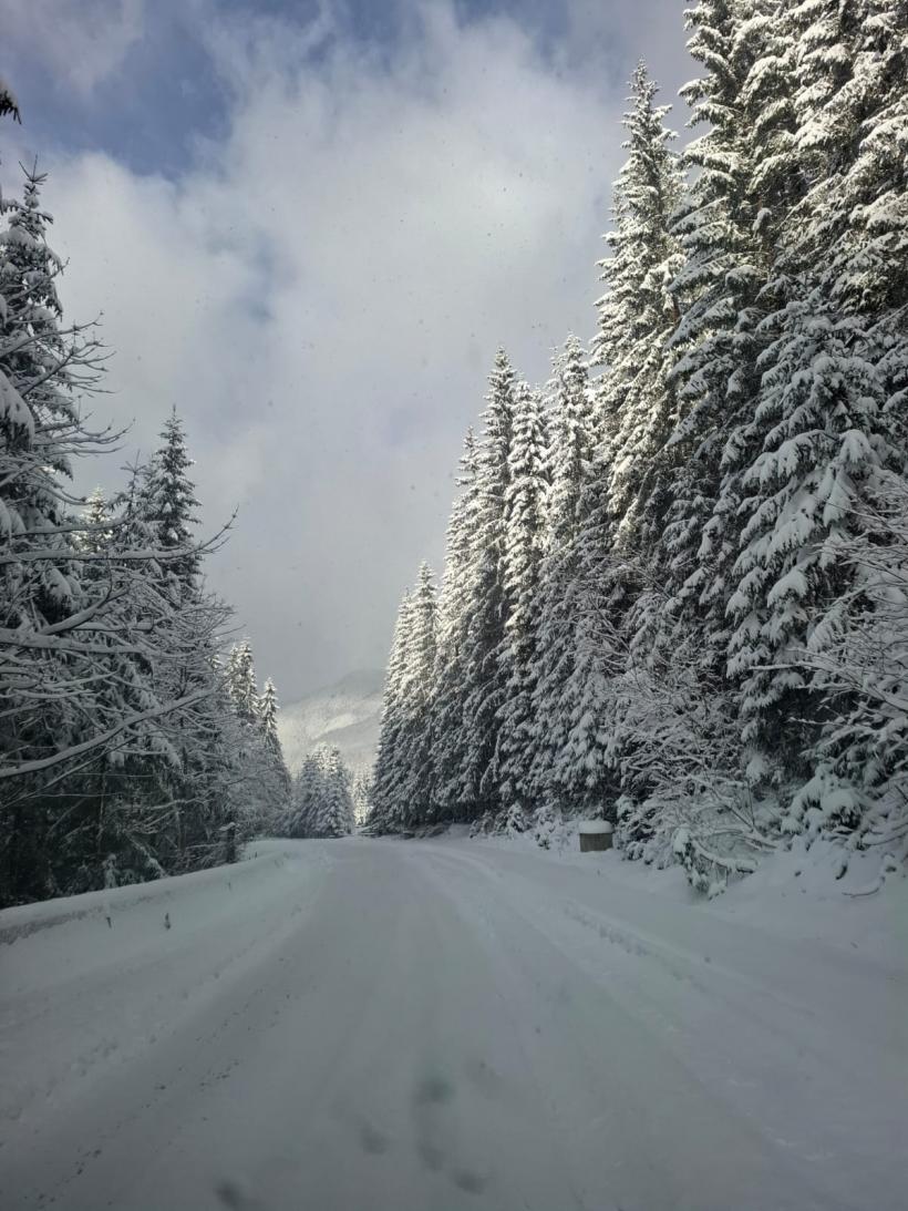 Temperaturi peste normal până la mijlocul lunii ianuarie: cum va fi vremea de Crăciun și Revelion