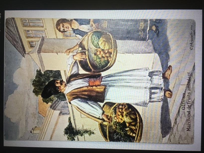 Tainele limbii române: Cum a alunecat în limba noastră termenul pișicher 18932622