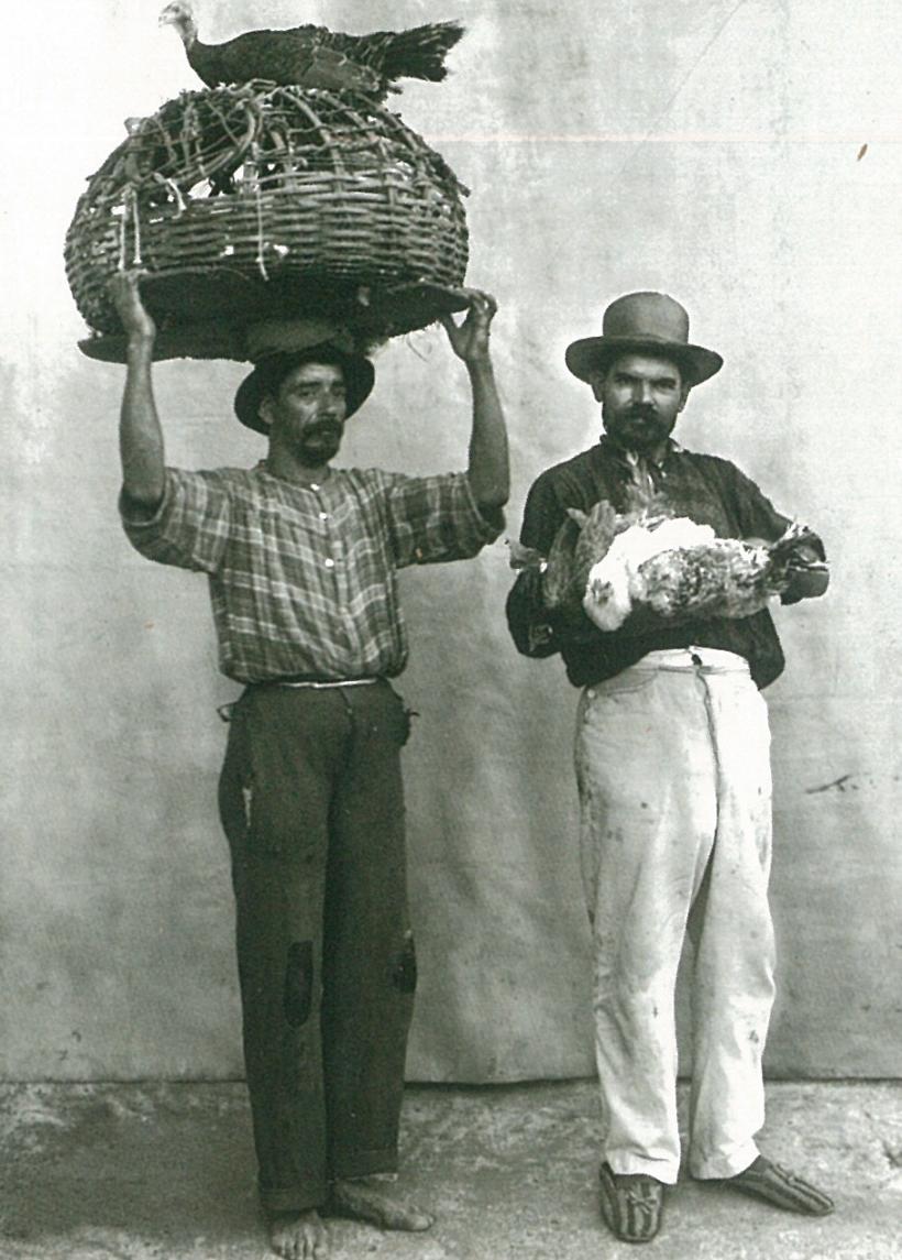 Tainele limbii române: Cum a alunecat în limba noastră termenul pișicher 18932623