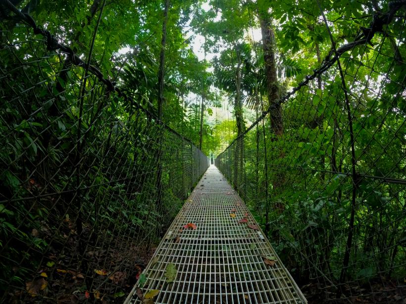 Arenal: simbolul naturii sălbatice din Costa Rica 18933092